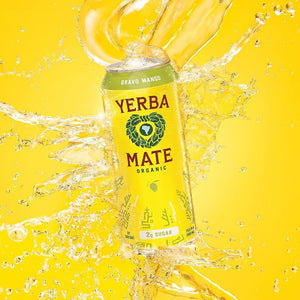 Guayaki Organic Yerba Mate Tea Peach Revival 15.5floz/458ml